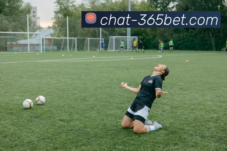 365bet平台生态图